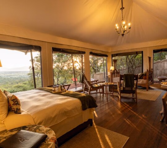 Interior of a luxury canvas safari tent with a large bed, wooden floors, and expansive windows overlooking a green savanna.