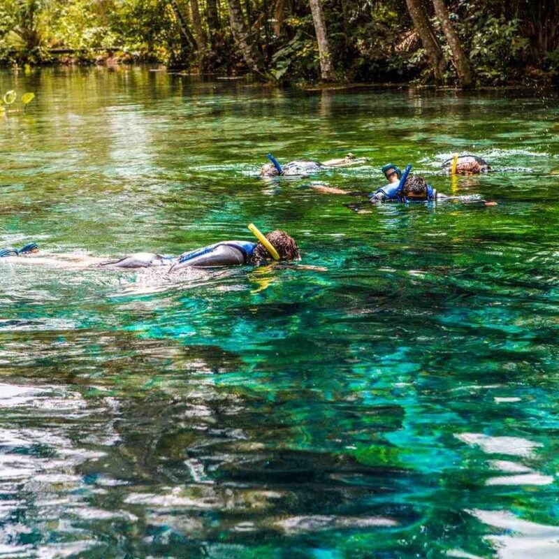 Snorkellors floating on the surface of a river in Bonito, Brazil