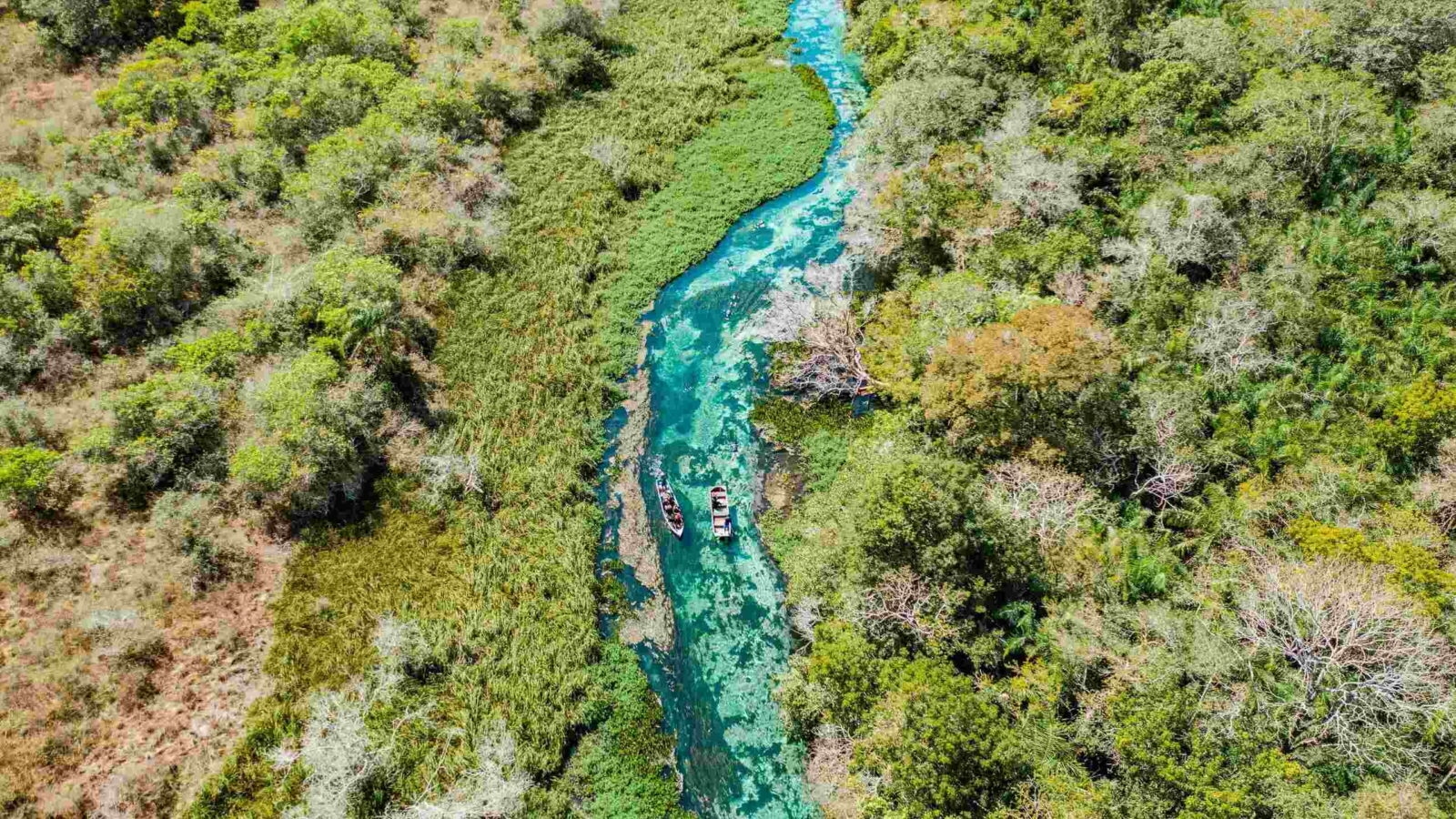 Aerial view of a river in Bonito, Brazil