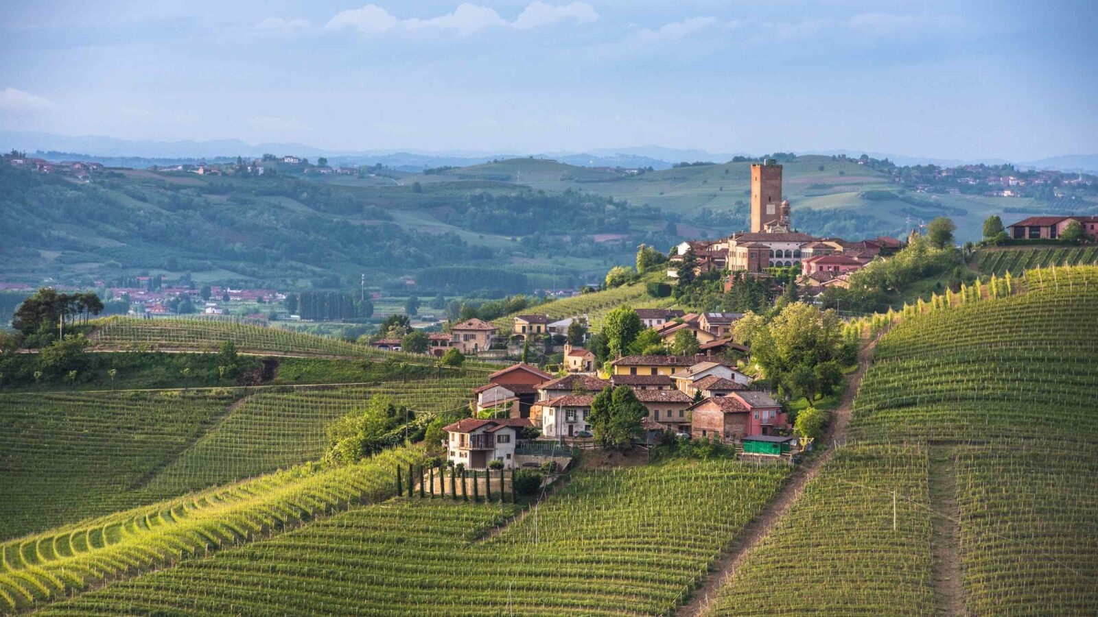 Aerial view of terraced green vineyards on rolling hills surrounding a small village with an ancient brick tower.