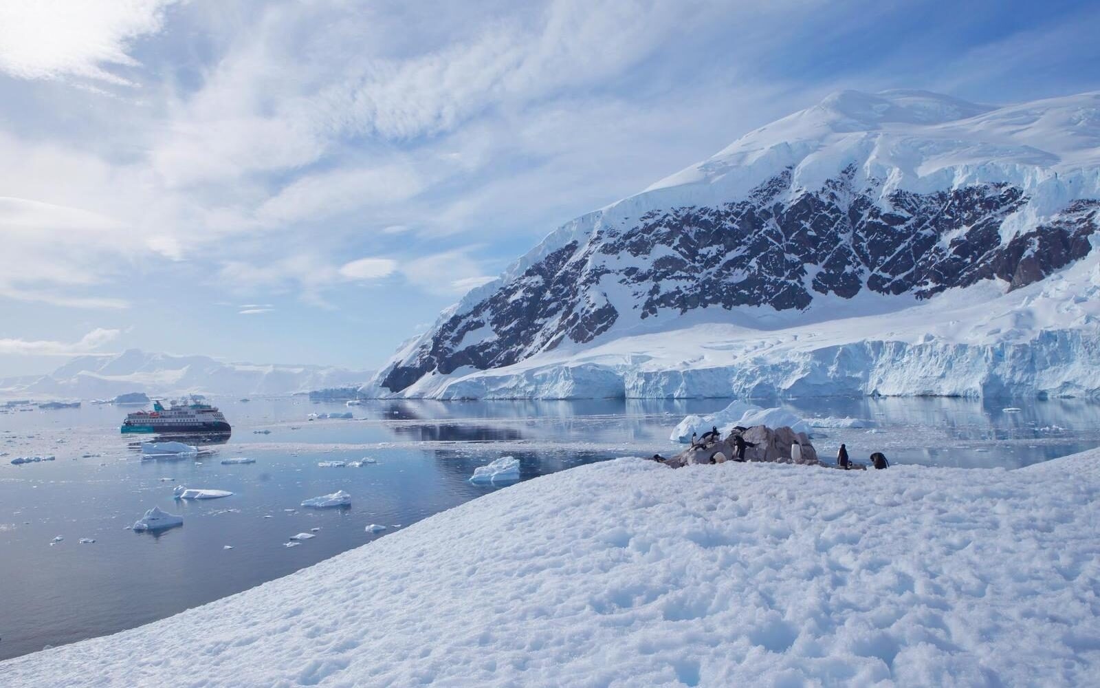 Travel through the Antarctic's icy waters on the Sylvia Earle.