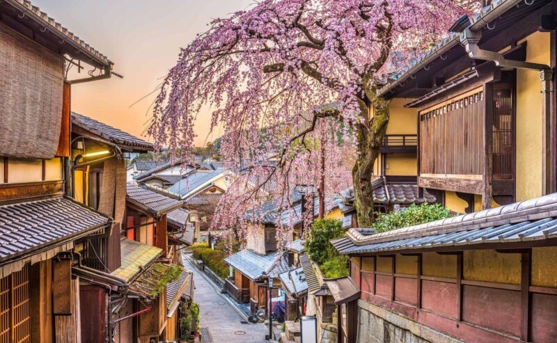 Pink cherry blossoms blooming over a historic Japanese street lined with traditional wooden houses.
