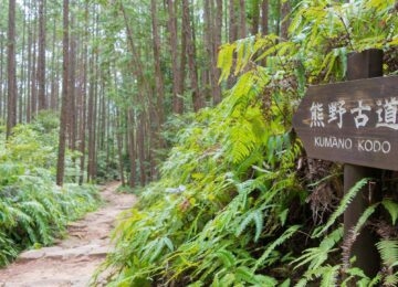 Japan thumbnail