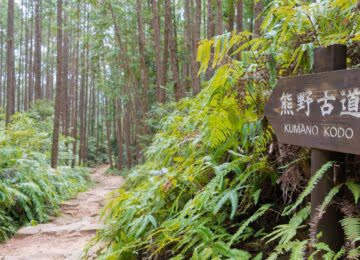 Japan thumbnail