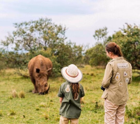 A child and an adult in safari gear viewing a large rhinoceros in a grassy field.
