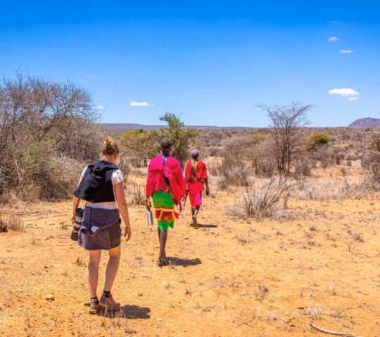 Two Maasai guides lead a woman through a dry, open African savanna on a walking safari.