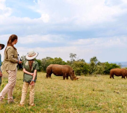 A family of three standing in a grassy field watching two rhinoceroses graze under a cloudy sky.