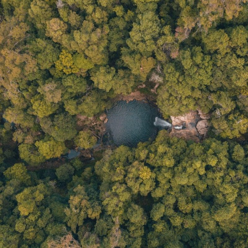 Aerial view of a waterfall flowing into a dark circular pool surrounded by dense green forest in Australia.