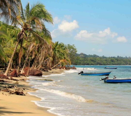 A beach with palm trees and small boats in Puerto Viejo, Costa Rica