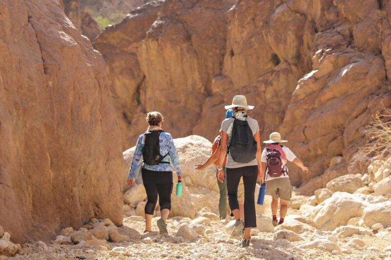 Four hikers wearing hats and backpacks walking away through a narrow canyon surrounded by tall rocky walls.