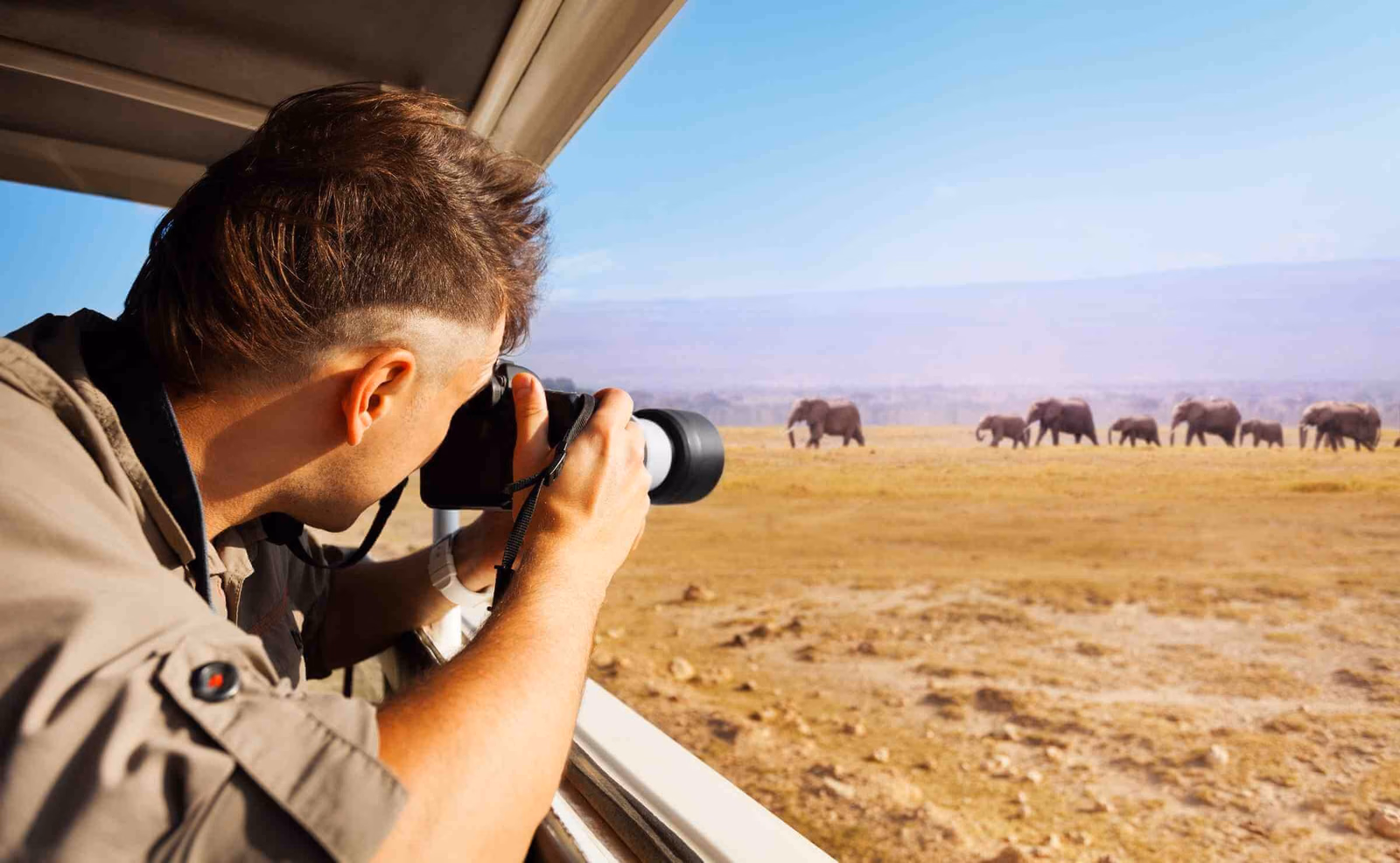 A man on safari photographing elephants on savannah plains