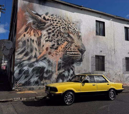 A large mural of a leopard's face painted on a building wall behind a yellow car parked along the street.