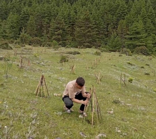 A man planting a tree sapling in the Gangtey Valley, Bhutan