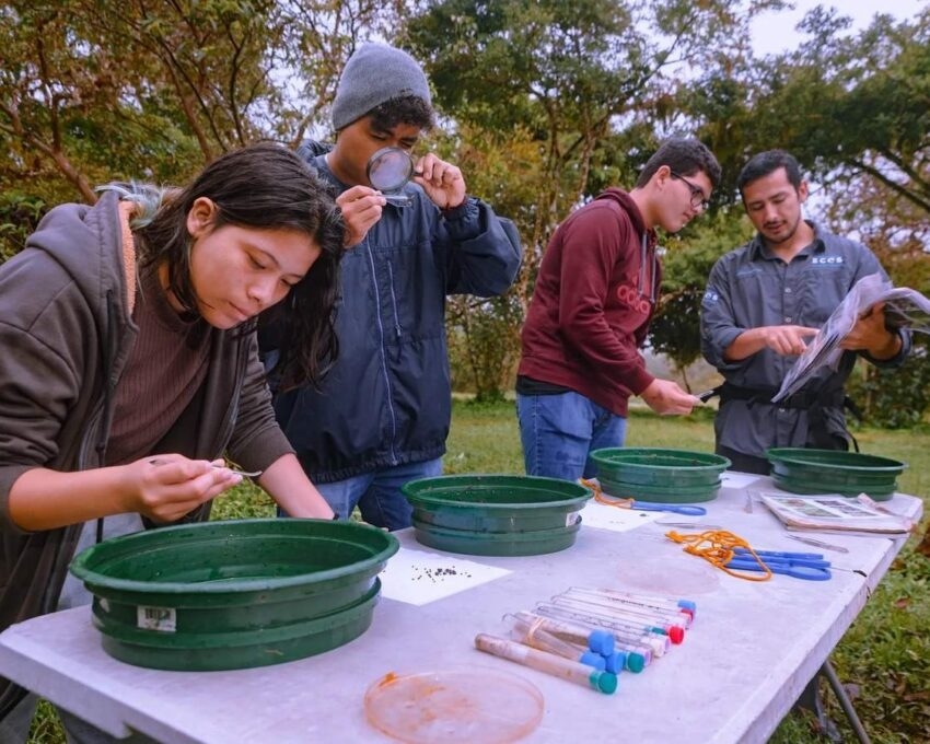 People examining seeds as part of a seed dispersal analysis in the Galapagos