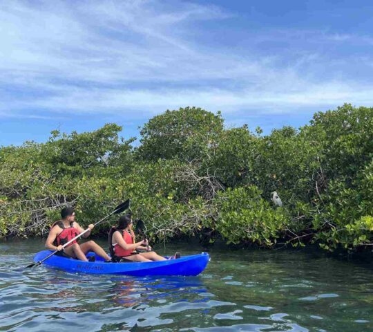 Two people kayaking to count seabirds around the Galapagos
