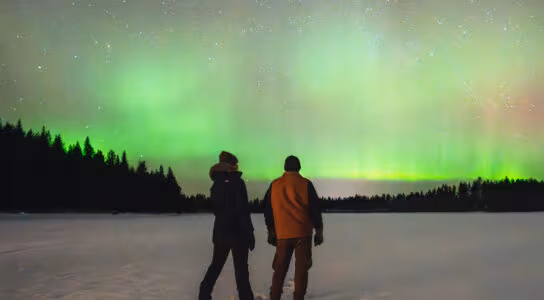 Photograph the Northern Lights by snowmobile preview image