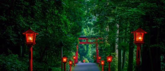 Red wooden lanterns light a path leading through a lush green forest toward a red torii gate in the distance.