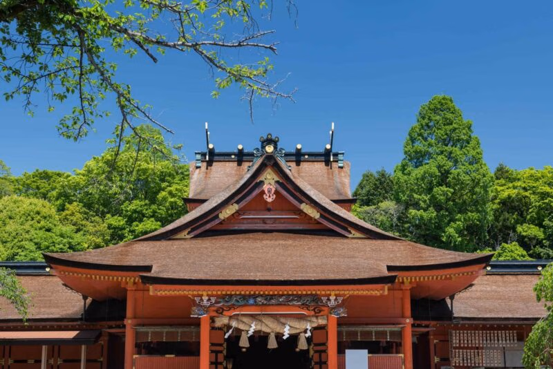 Front view of a traditional Japanese wooden shrine surrounded by lush green trees under a clear blue sky.