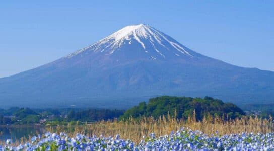 Hike in Mount Fuji National Park preview image