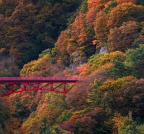 Beautiful Autumn scene on mountain at Takamura Village in Nagano