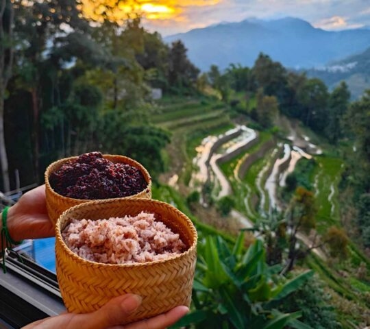 Bowls of indigenous red rice with views over rice terraces in the background