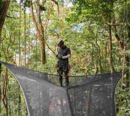 A man stood on a net strung between the tree canopy in the clud forests of Monteverde in Costa Rica