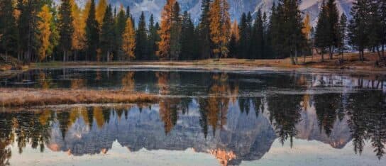 Golden autumn trees and dramatic mountain peaks reflect symmetrically in a calm, clear alpine lake.