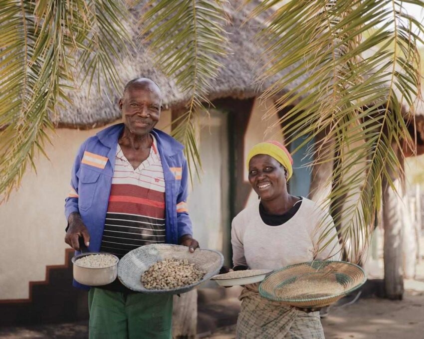 A couple show off produce grown at the Ngamo livestock farm in Zimbabwe