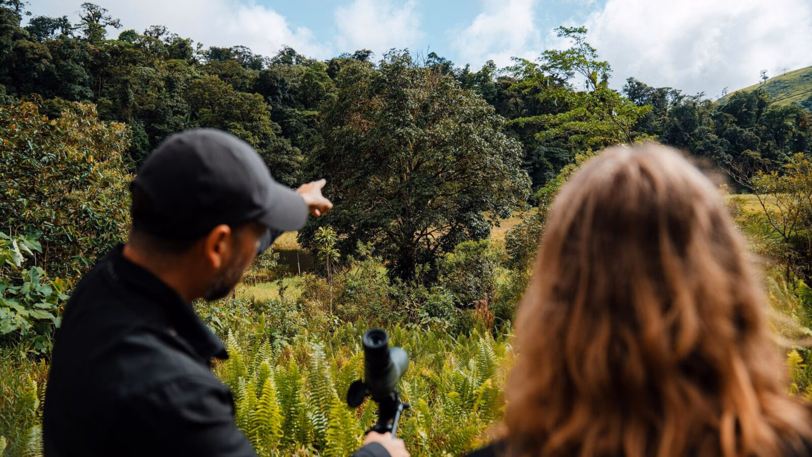Two people using binoculars to look up at the tree canopy on a costa rica rainforest safari.