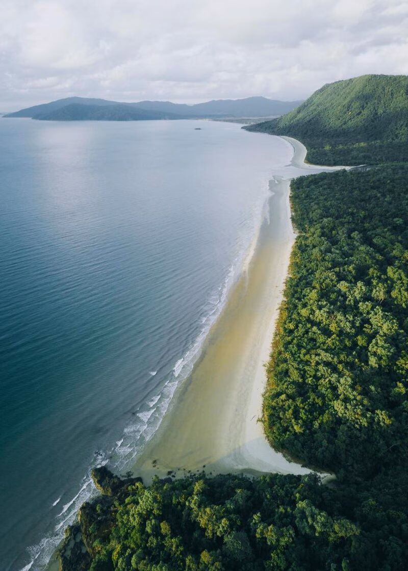 Aerial view of a lush green rainforest meeting a sandy beach and calm ocean waters.