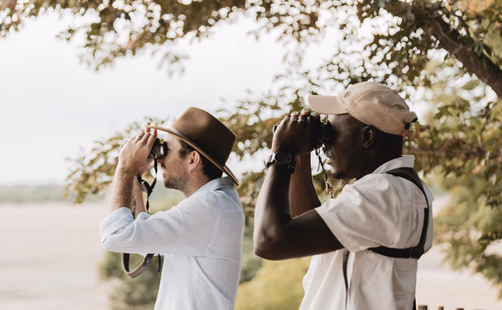 Two men wearing hats look through binoculars outdoors under leafy tree branches.