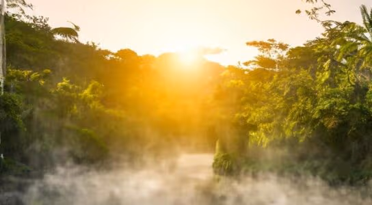 Cruise the Amazon by river boat preview image