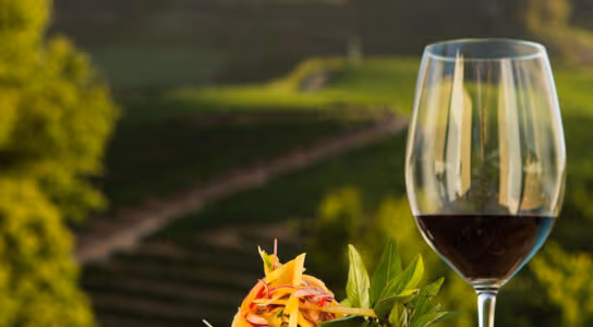 Sample fine wines preview image