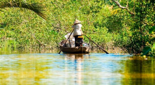 Cruise the Mekong River in Vietnam preview image