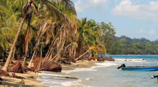 Slow down in the Caribbean side preview image
