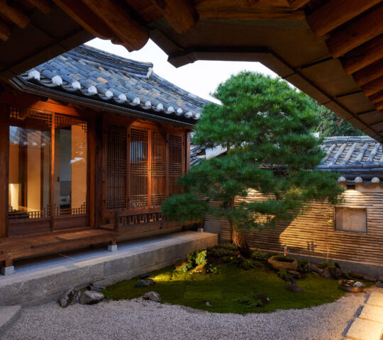 A traditional Korean hanok house in evening with an evergreen tree growing in the centre and big windows showing a few lights inside.