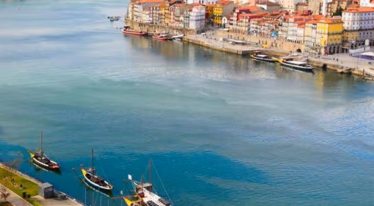 Sample port with a local host in Porto preview image
