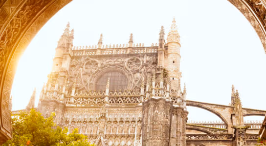 Tour Seville's Gothic cathedral preview image