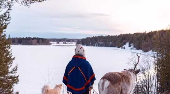Find silence in the snows of Swedish Sápmi preview image