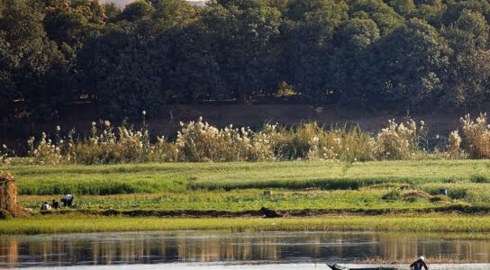 Stay with a Nubian community in Aswan preview image