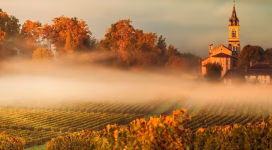 Drink wine in Champagne, the Douro and Bordeaux preview image
