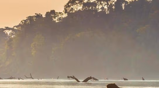 Cruise the Peruvian Amazon preview image