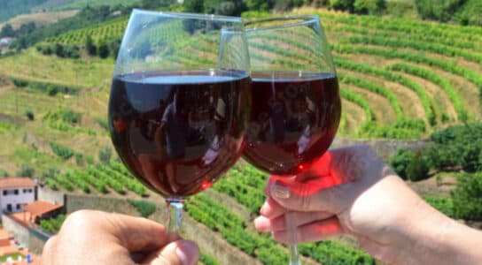 Sip wine beside Douro vineyards preview image