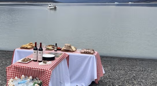 Visit Chile's wine region preview image