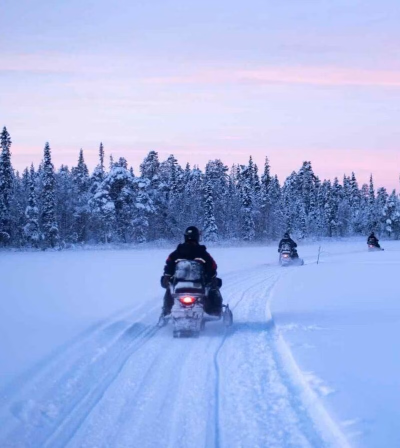 Three people riding snowmobiles on a snowy path through a snow-covered pine forest under a soft purple and pink twilight sky.