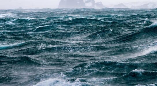 Cruise from Cape Horn to Antarctica preview image