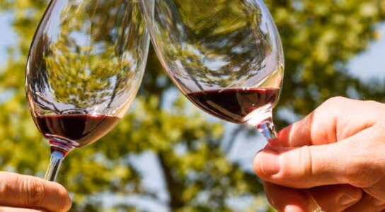 Sip award-winning wines preview image