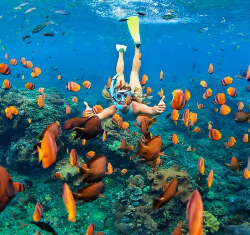 Woman snorkeling underwater with yellow fins and blue mask giving thumbs-up among a large school of orange fish.
