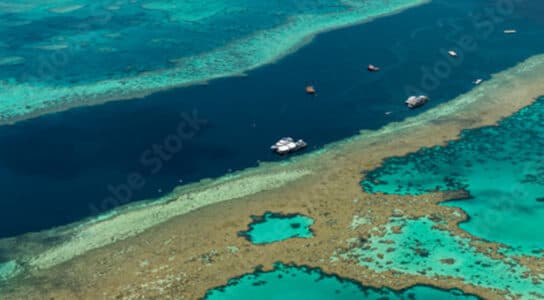 Snorkel in the Great Barrier Reef preview image