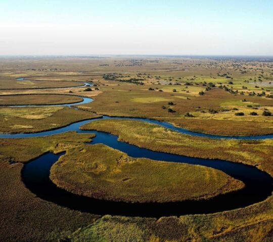 Aerial view of a blue river winding through the grassy marshlands of the Okavango Delta in Botswana under a clear sky.